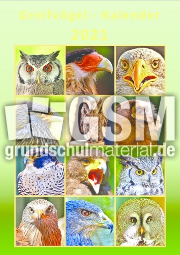 Greifvögel_Kalender_2021_2.pdf